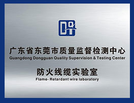 Guangdong Province Quality Inspection For 
Flame Retardent Wire Laboratory