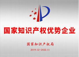 National intellectual property 
advantage enterprise